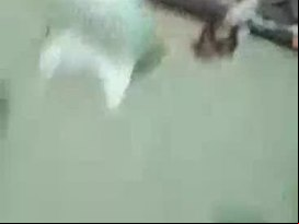 Paytm sex racket boy with 2 girls must watch till end