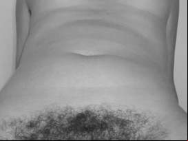 Mega hairy pussy vol.2