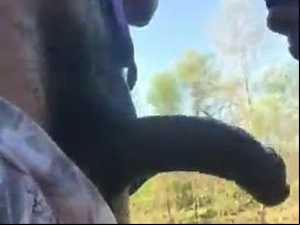 Mixed bitch blind folded & gagged